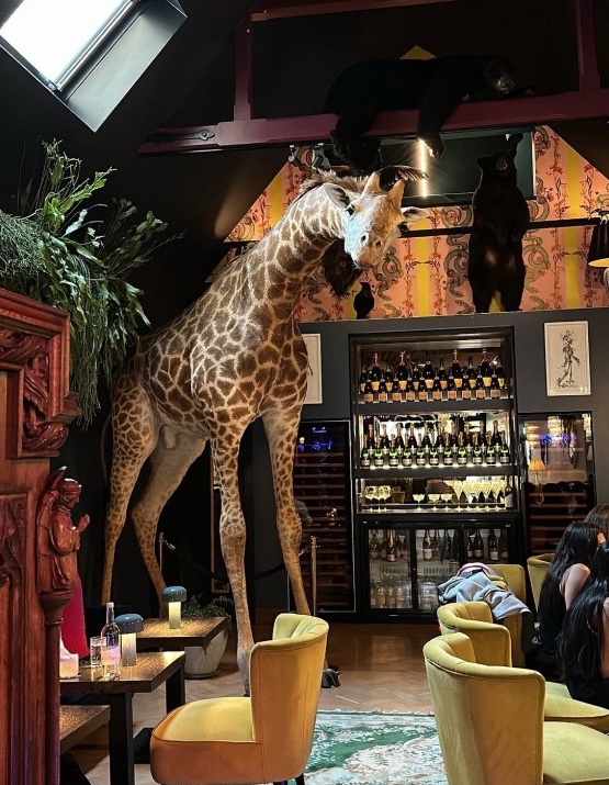 Inside Hux Hotel in Kensington, London 12 Artistic pieces at Hux Hotel