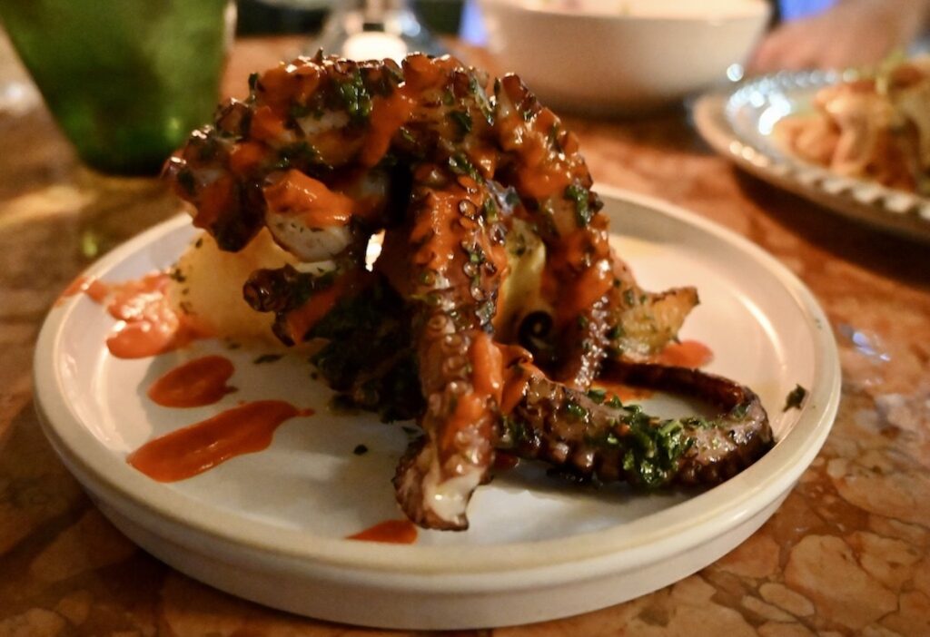 An Authentic Taste of Italy: Como Garden 13 Como Garden octopus