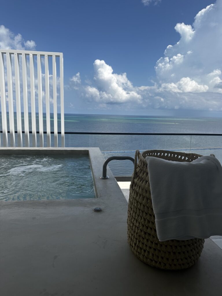 A Luxurious Escape to Ava Resort Cancun 14 IMG 1535