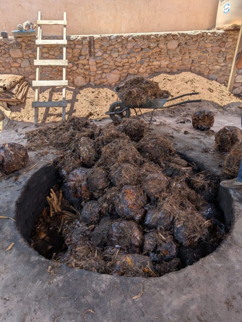 Chihuahua City Guide: Cowboy Country to Cathedral Bells 21 Chihuahua Casa Ruelas Sotol