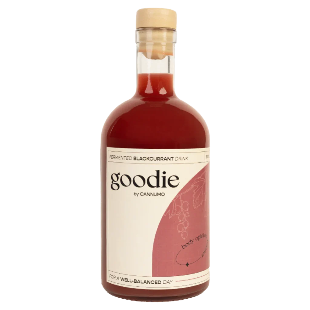 The Essential Wellness Christmas Gift Guide: Powerful Picks for Total Wellbeing 24 goodie wellness