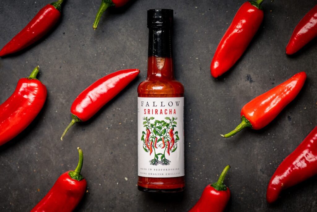 Ultimate Christmas Food Gift Guide: Luxury Treats, Gadgets & Gourmet Essentials 23 160A2585