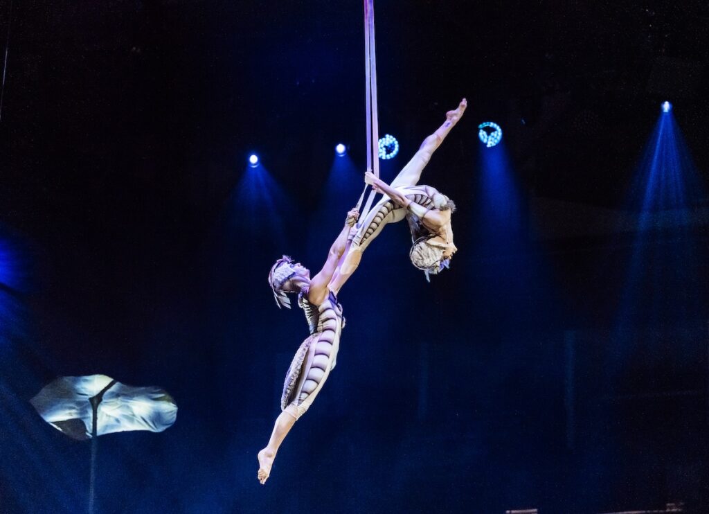 OVO Cirque du Soleil: The Bugs Are Back in Town 14 OVO 20 12 MA73523HR