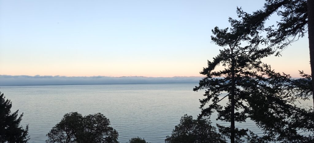 Lazy yet Luxurious Dining at Treetops Tapas and Grill 11 Treetops Tapas and Grill