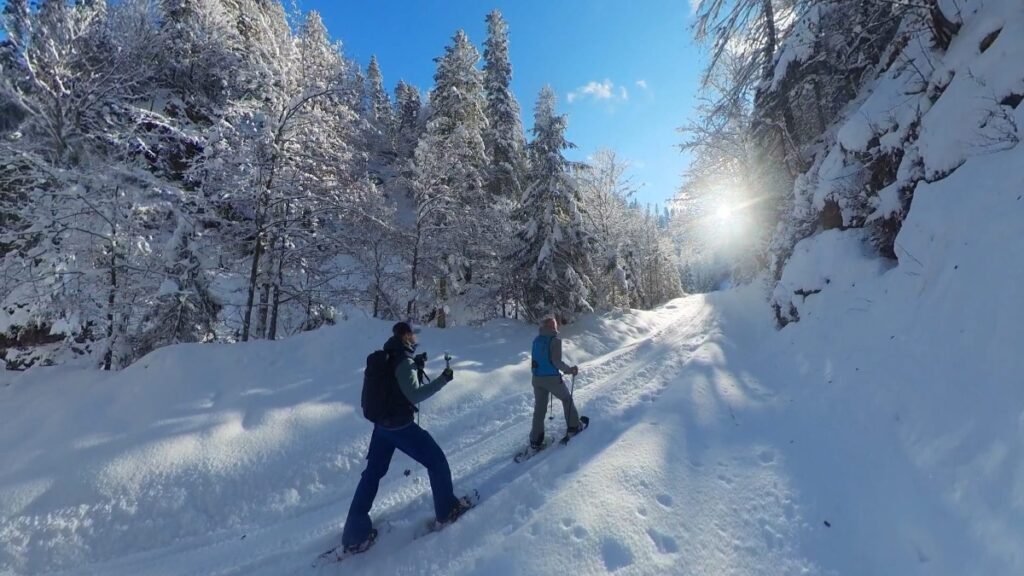 Zillertal: A Powerful Immersive Guide to Authentic Alpine Living 19 Zillertal